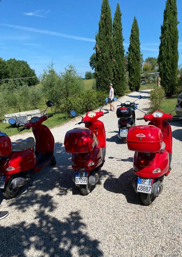 La Bacaia Villa Marciano della Chiana Eksteriør billede