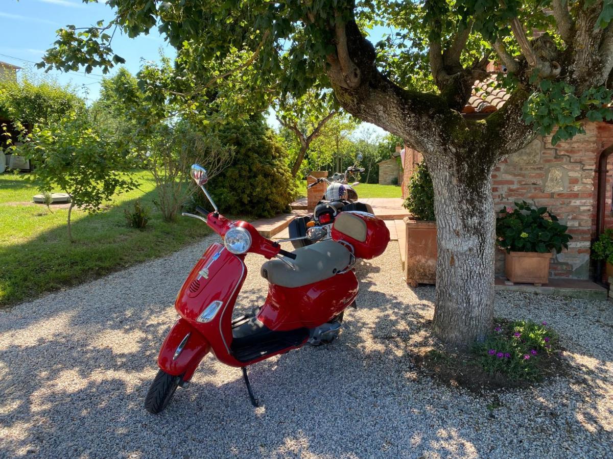 La Bacaia Villa Marciano della Chiana Eksteriør billede